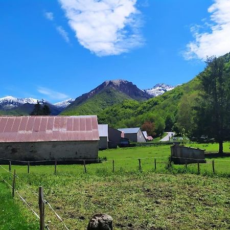 Sejour Cocooning Pour Se Ressourcer A La Montagne. Leilighet Aulus-les-Bains Eksteriør bilde